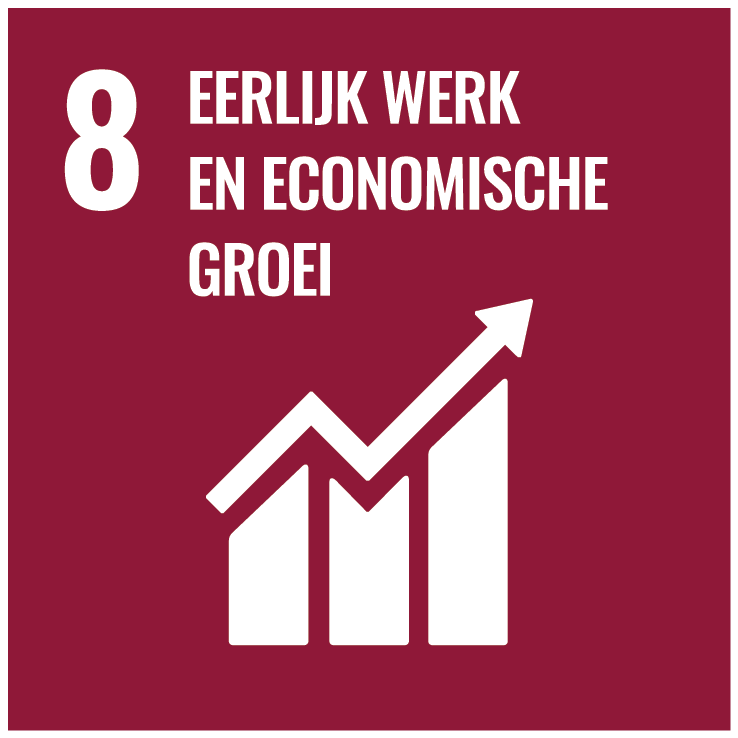 8 Eerlijk werk en economische groei